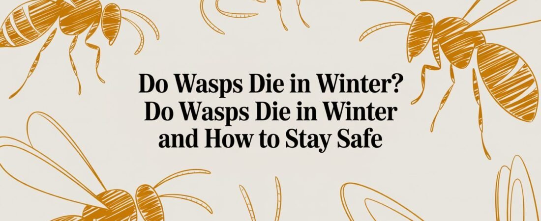 Do Wasps Die in Winter? do wasps die in winter and how to stay safe