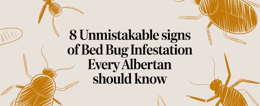 8 Unmistakable Signs of Bed Bug Infestation Every Albertan Should Know
